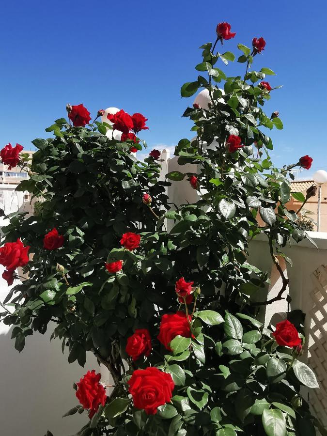 Costamar Playa Arenales Del Sol Apartment ภายนอก รูปภาพ